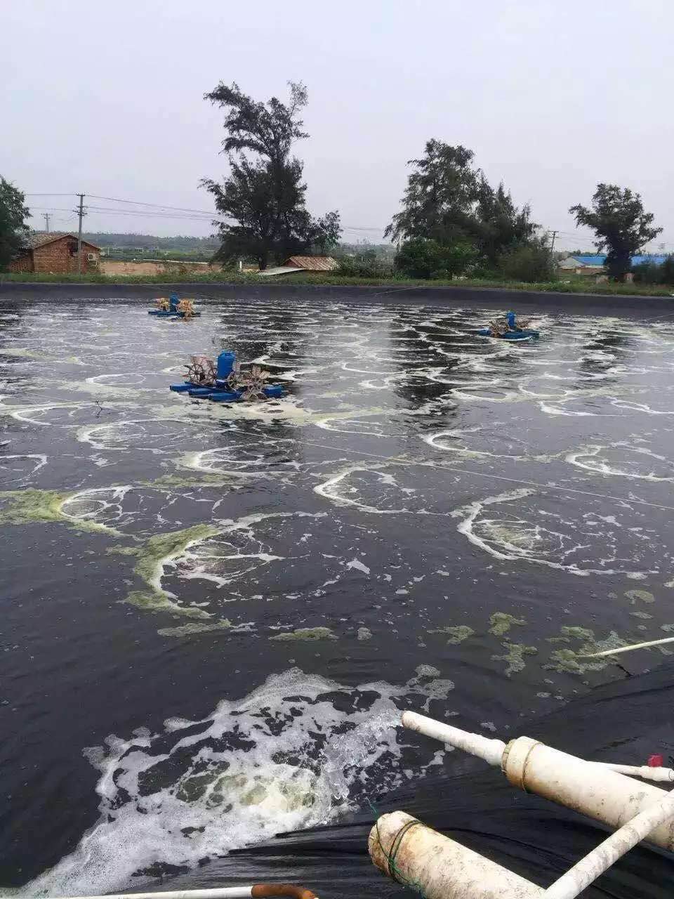 增氧罗茨风机.jpg