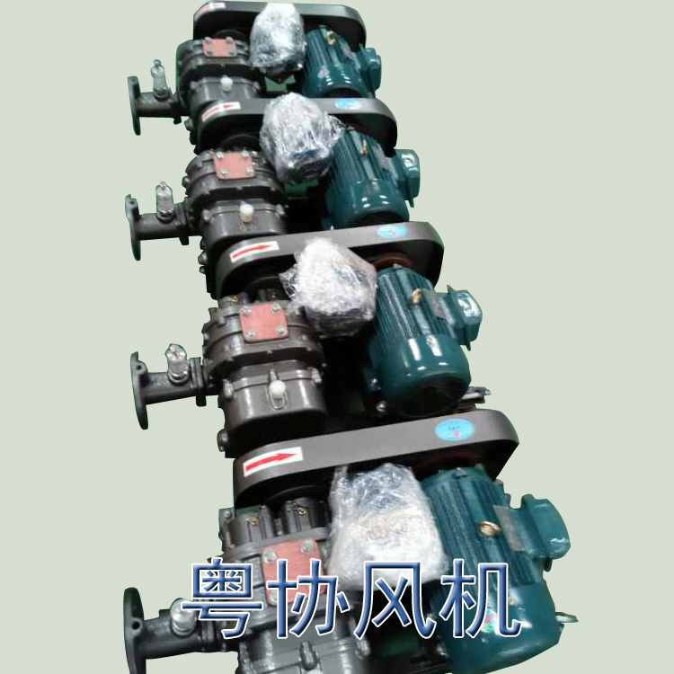 清远罗茨风机厂家.jpg