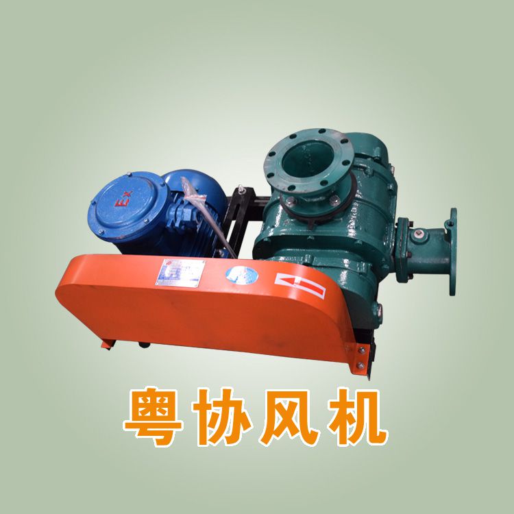 大型罗茨风机.jpg