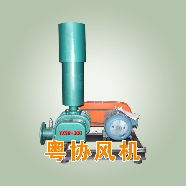 大型罗茨风机价格.jpg
